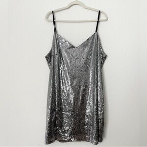 Wild Fable Silver Sequin Dress